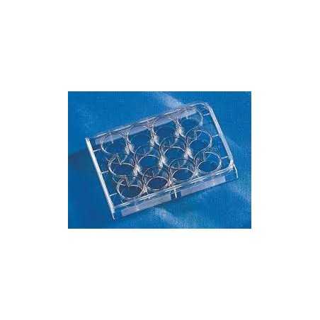 12-гнездна плака за клетъчно култивиране, полистирен, третирана, индивидуално опакована